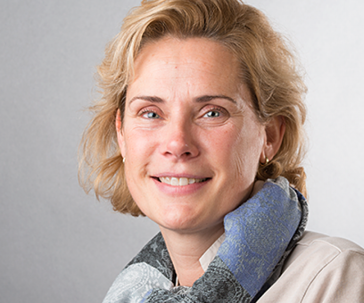 Irene Verdult